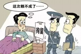 东海岛东海岛讨债公司服务