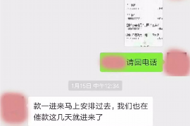 东海岛遇到恶意拖欠？专业追讨公司帮您解决烦恼